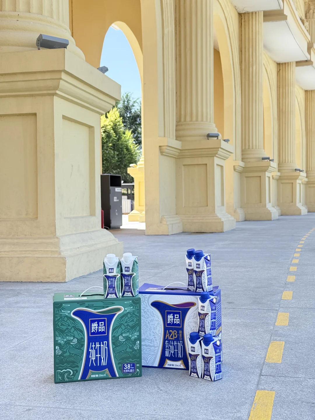 中阿博览!!贺兰山下的夏进爵品奶太绝了!