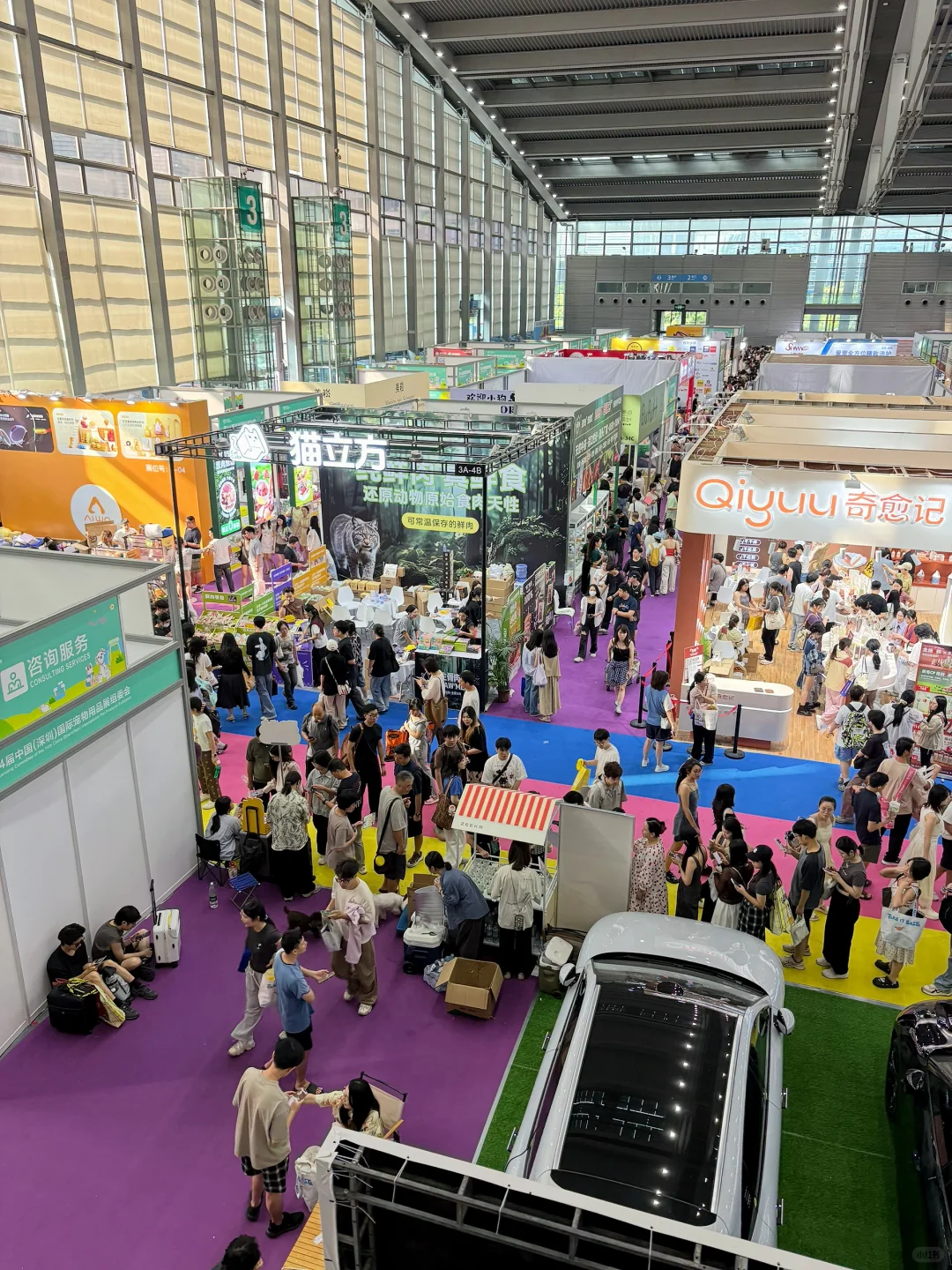 逛完深宠展看到了这些?