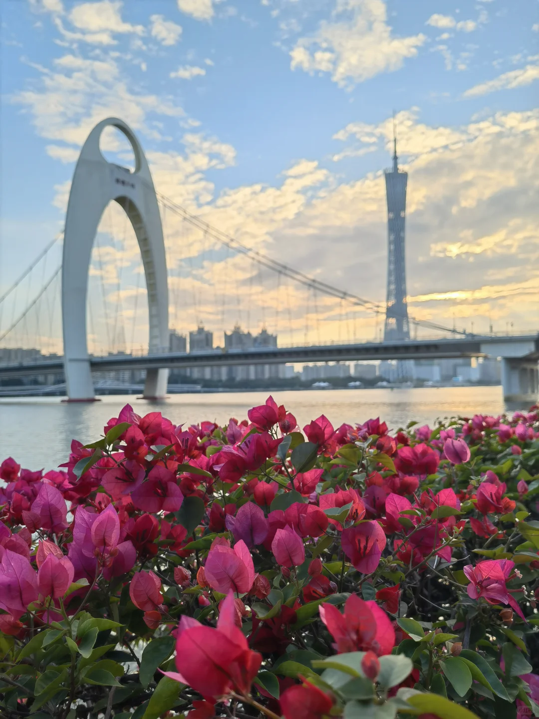 广州园博会真的太美啦！?