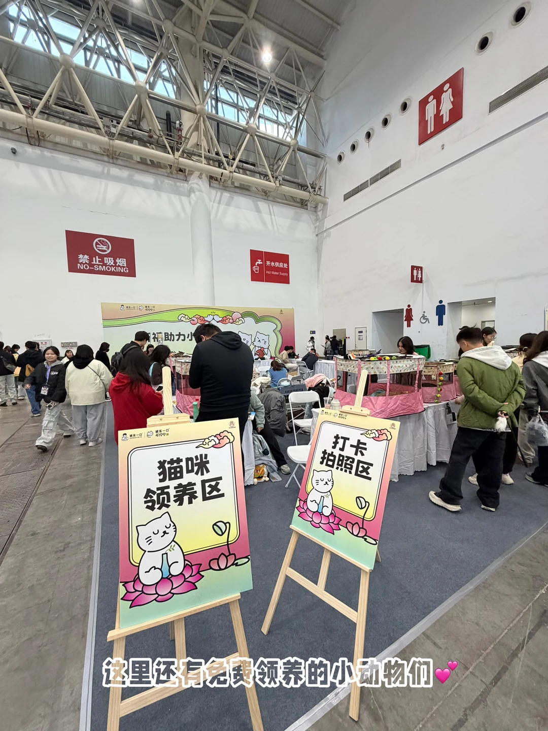 ?武汉潮宠展终极攻略！铲屎官必冲的华中顶