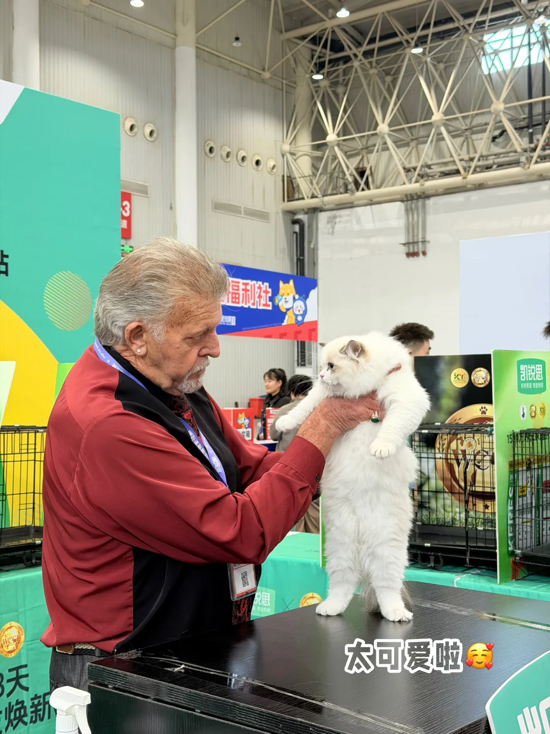 ?武汉潮宠展终极攻略！铲屎官必冲的华中顶