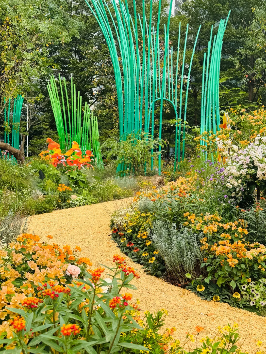 广州园博会?终于有人把机位路线说清楚啦‼️