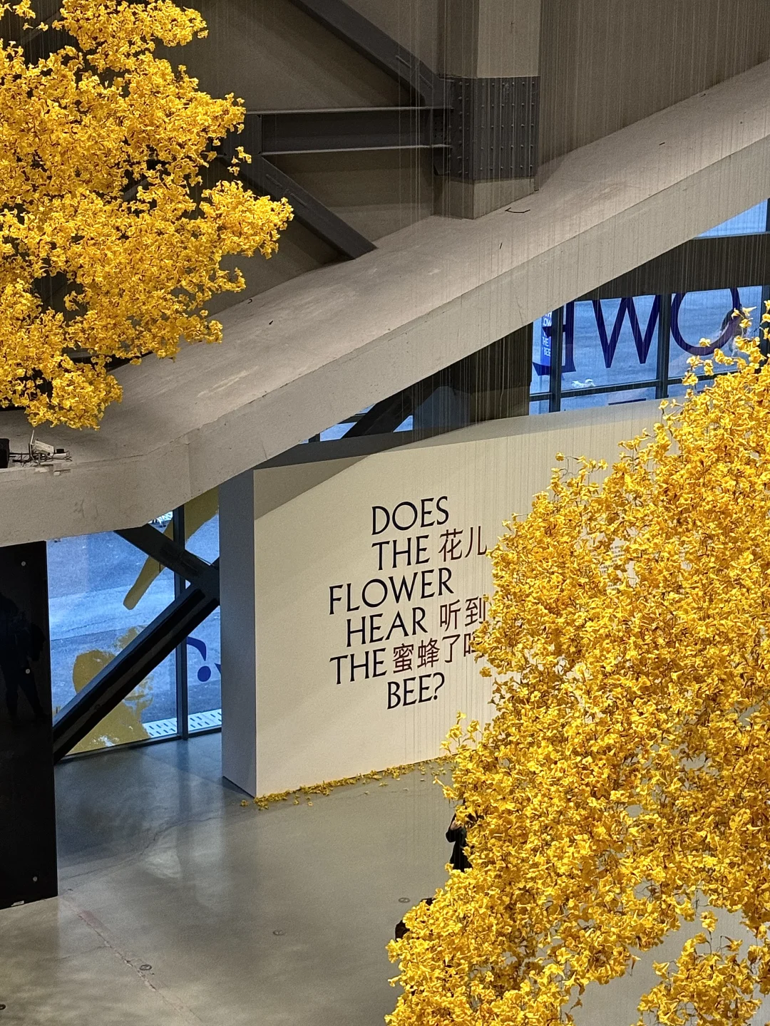 上海年底王炸展览来了!必打卡2025双年展~