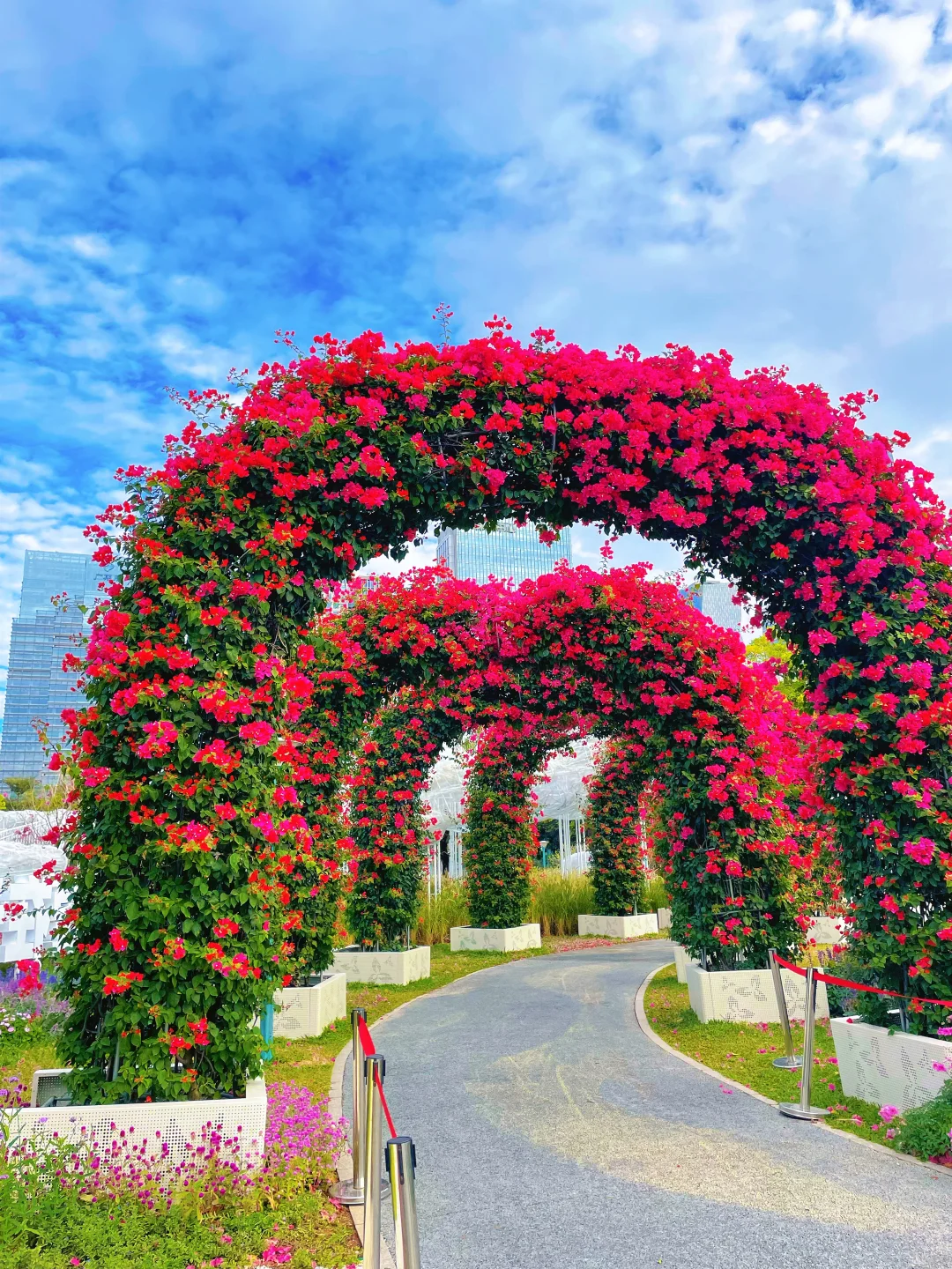 暴走2h‼️打卡园博会?