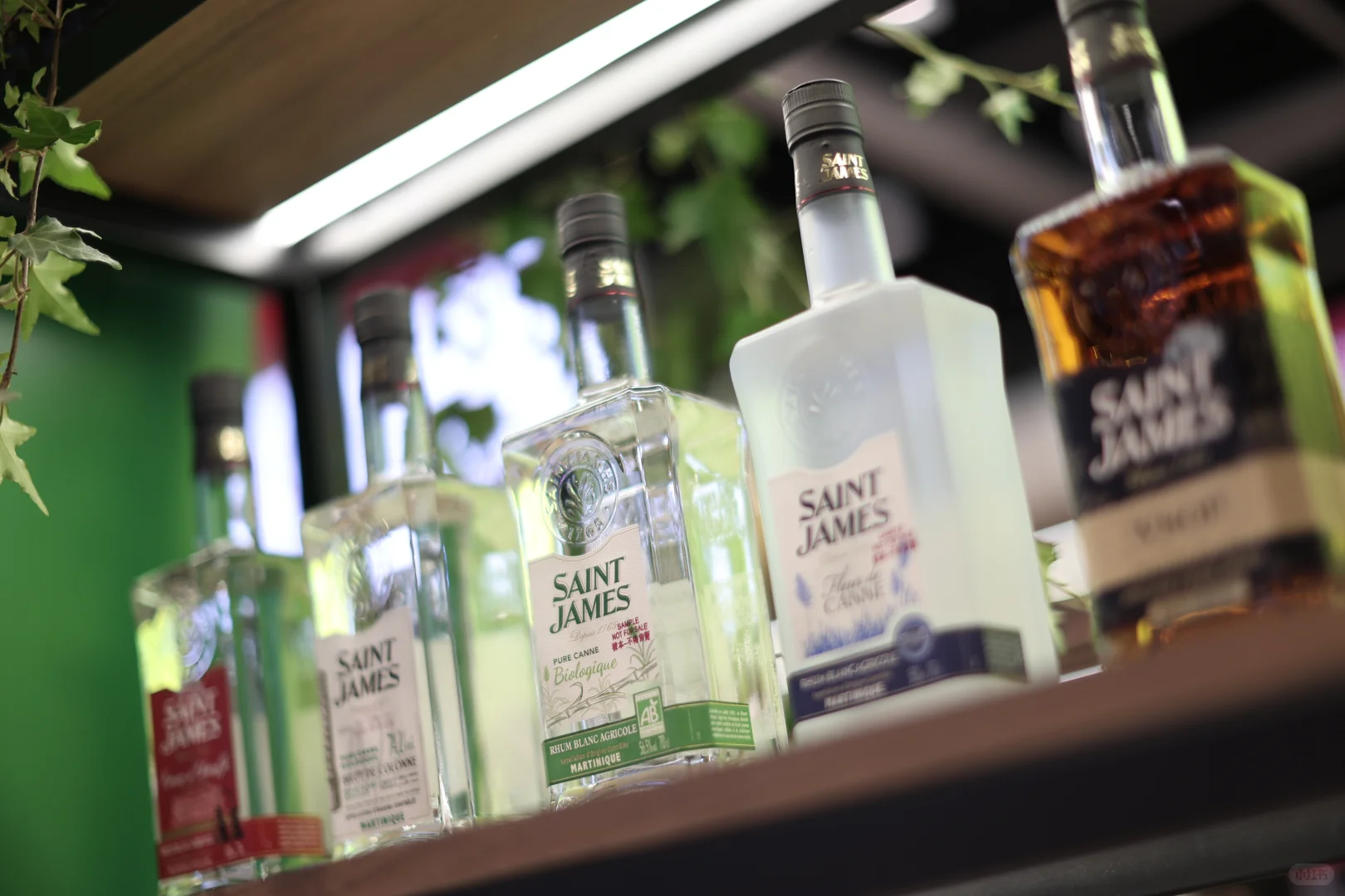 Be Spirits：烈酒与低度酒的创意秀场