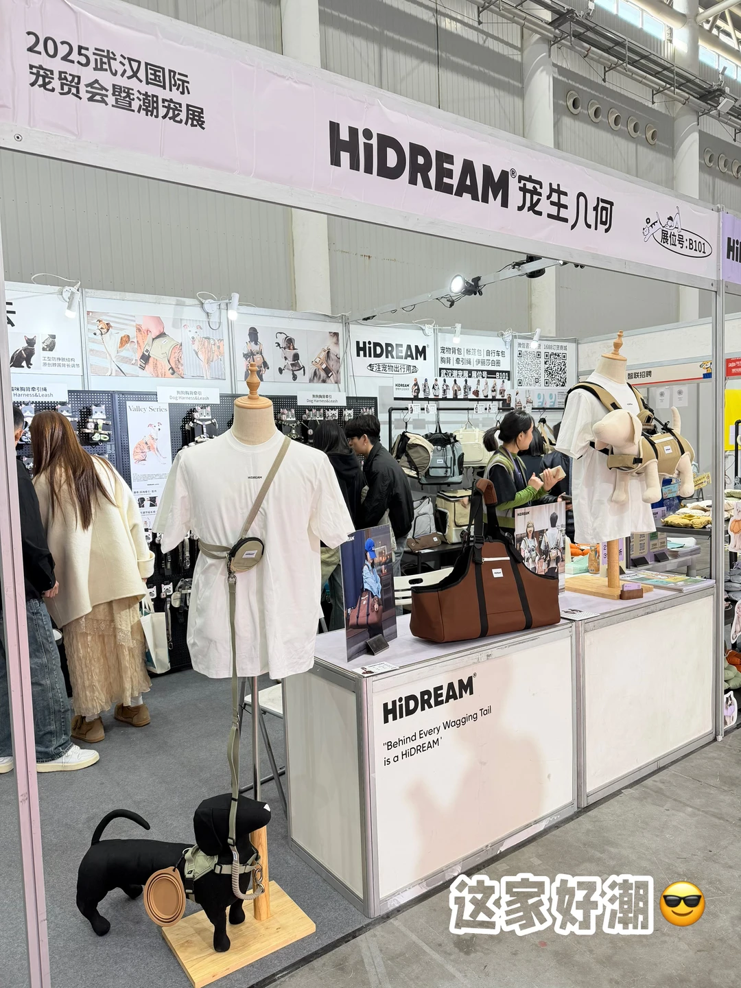 ?武汉潮宠展终极攻略！铲屎官必冲的华中顶