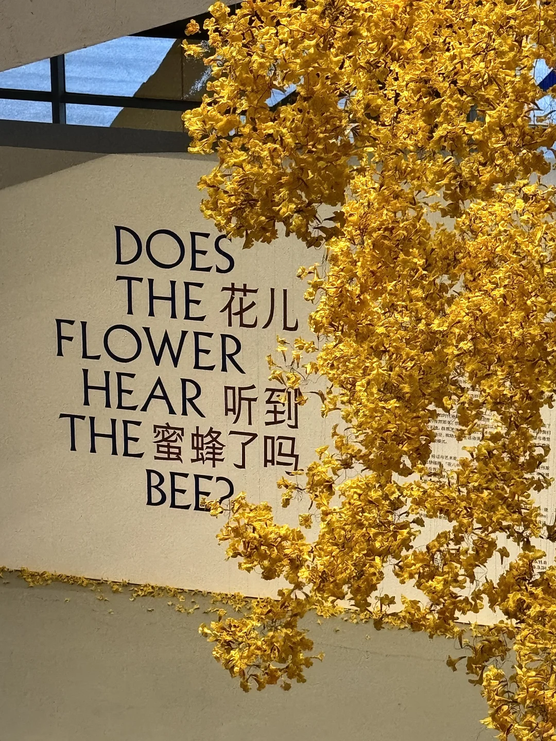 上海年底王炸展览来了!必打卡2025双年展~