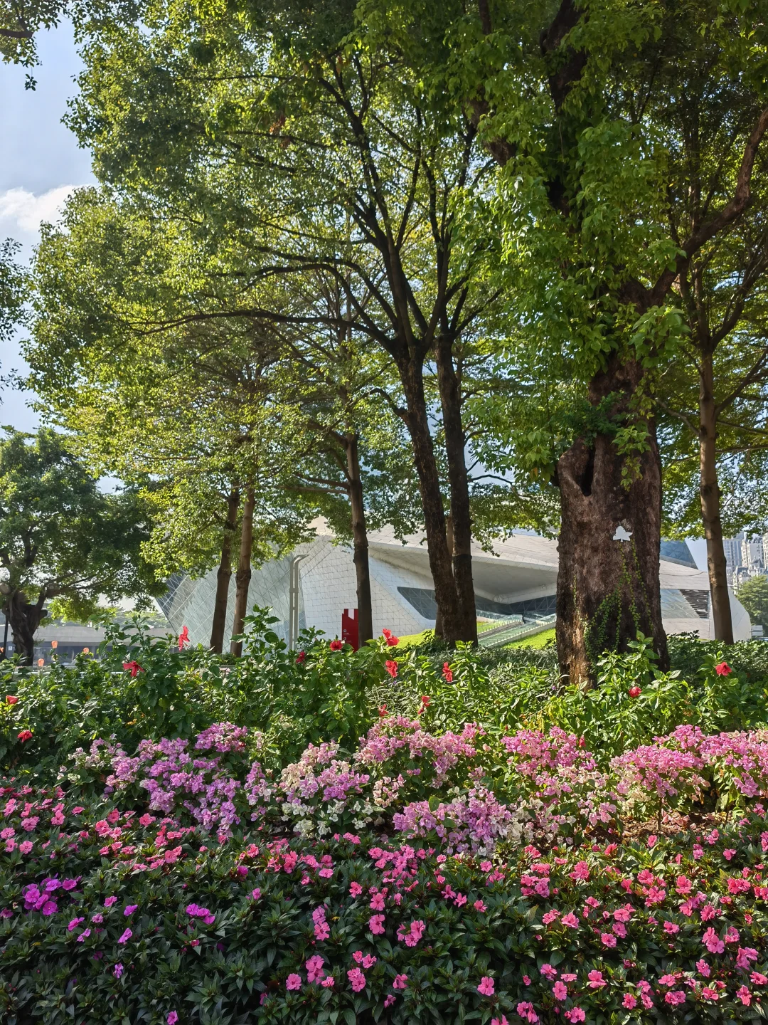 广州园博会真的太美啦！?