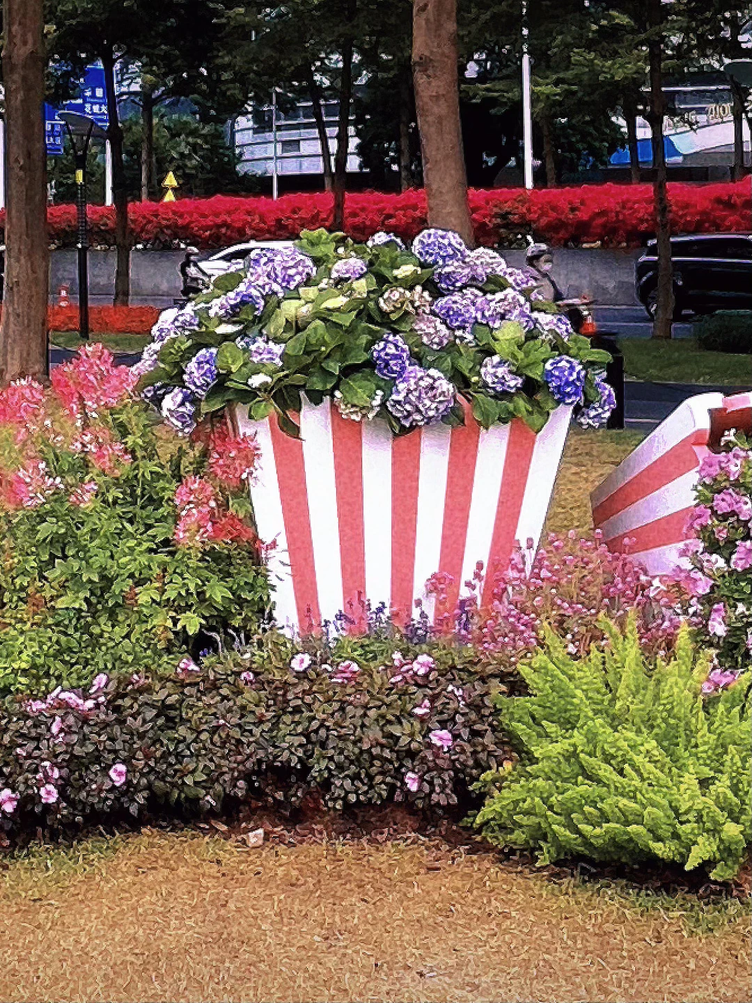 暴走2h‼️打卡园博会?