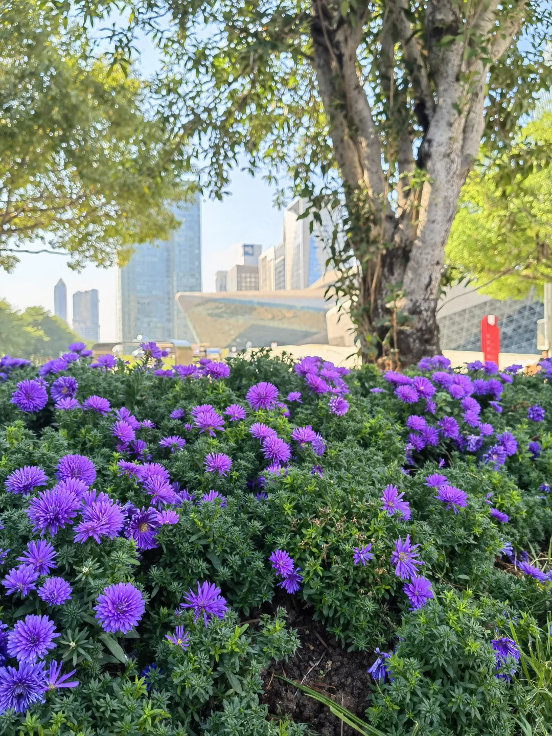 广州园博会真的太美啦！?