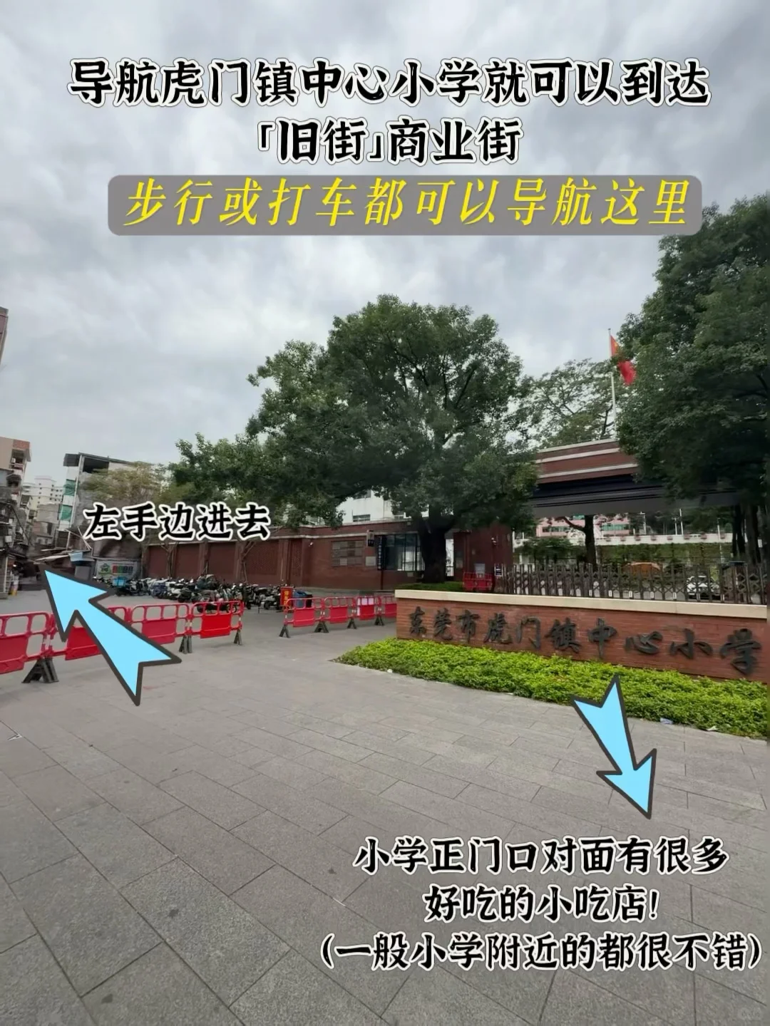 虎门土著带路！逛吃攻略适配三会逛吃党✨