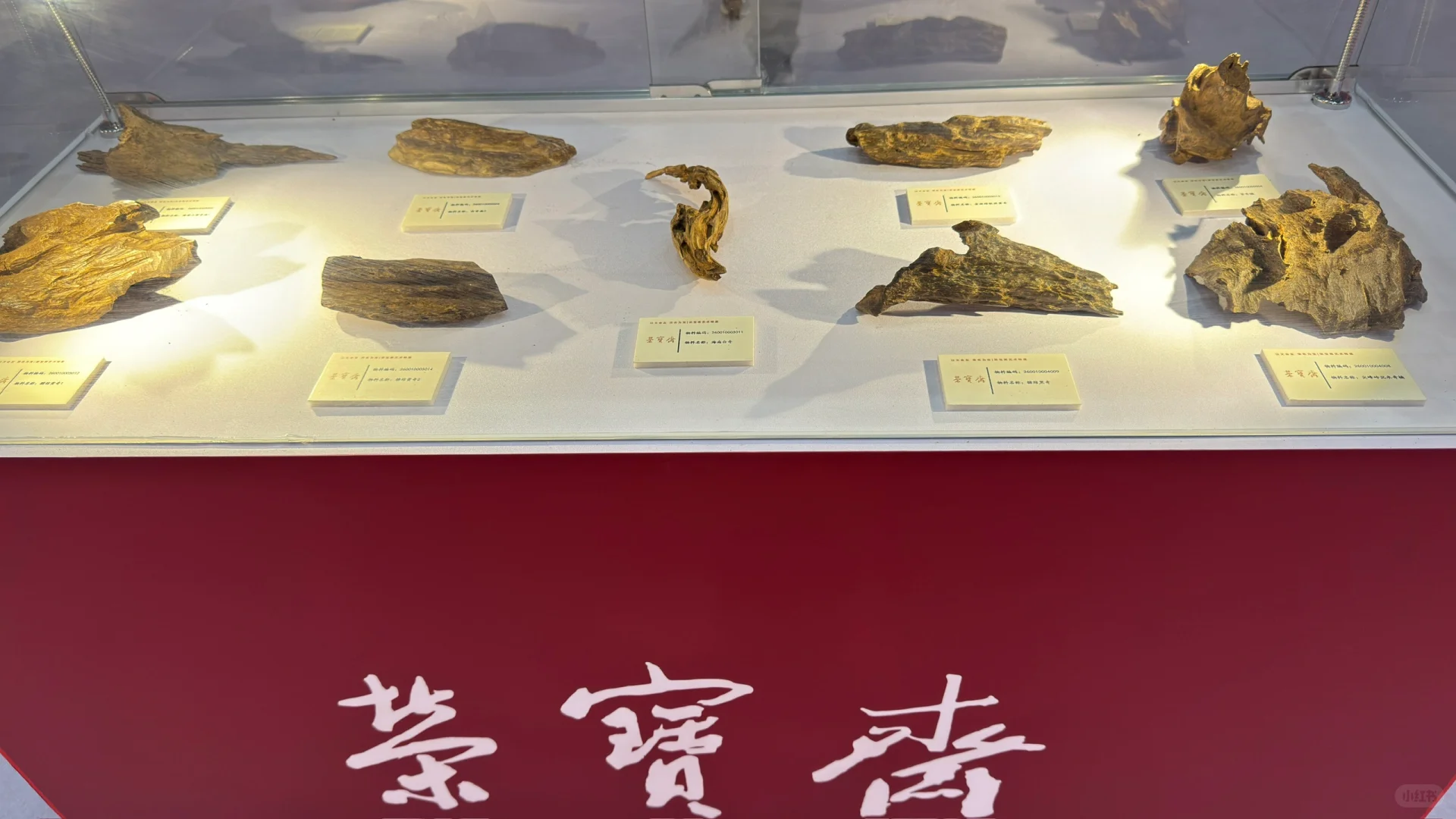 第二届海南沉香黄花梨国际交易会