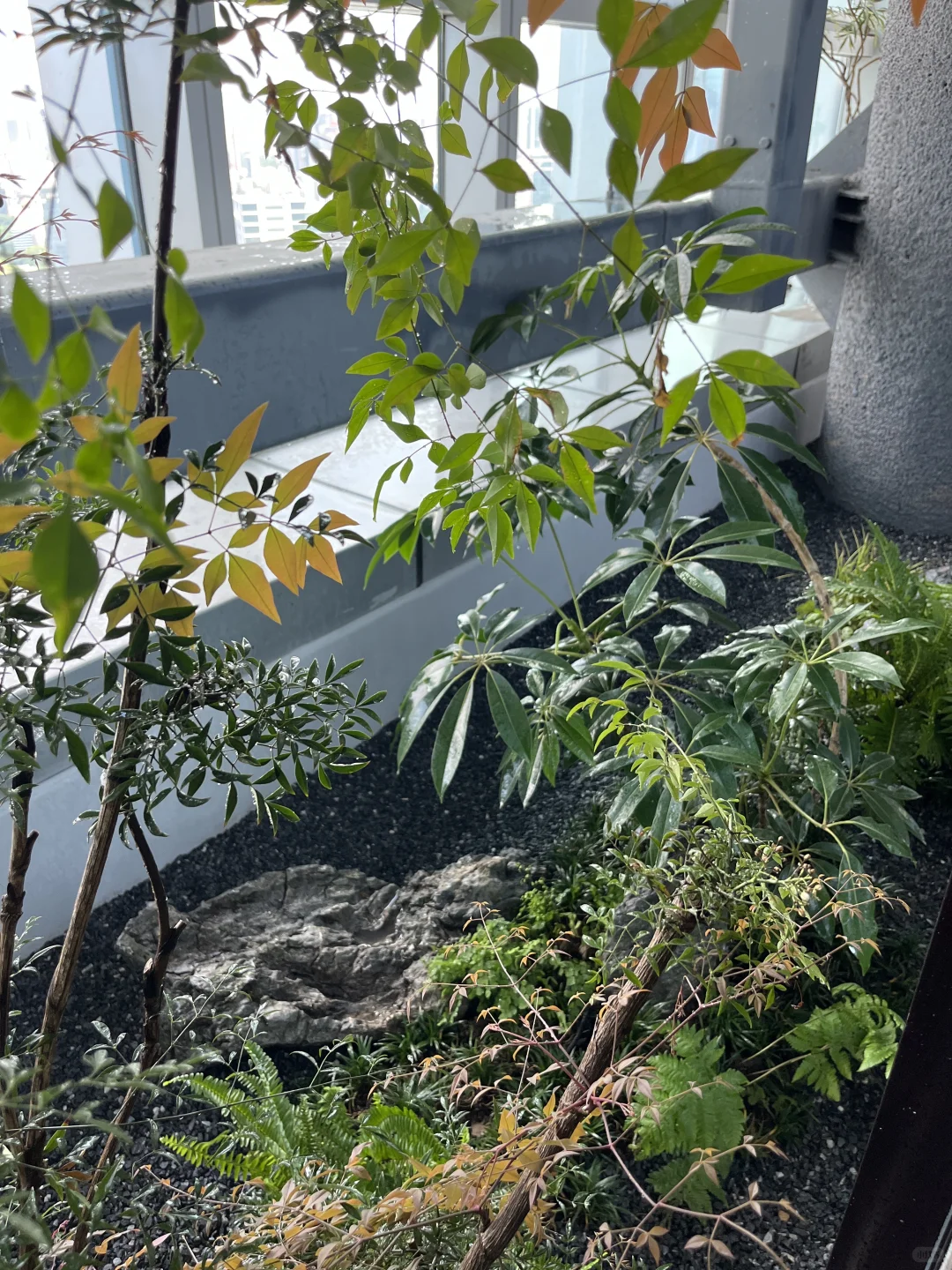 二十天造园｜利用空间造境