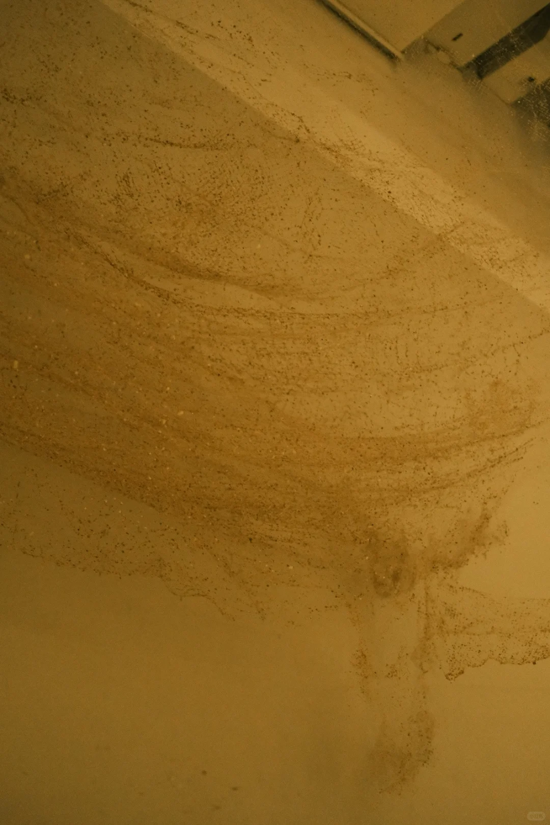 2025上海双年展：其实还是有些好看的