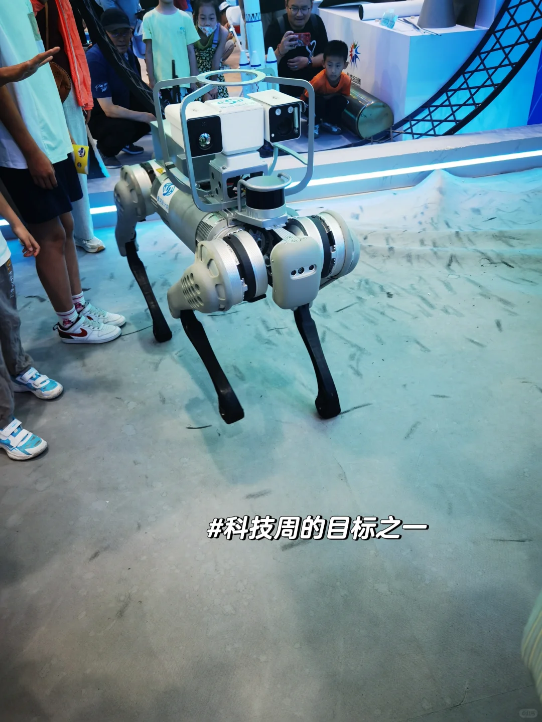 没别的，就是玩儿