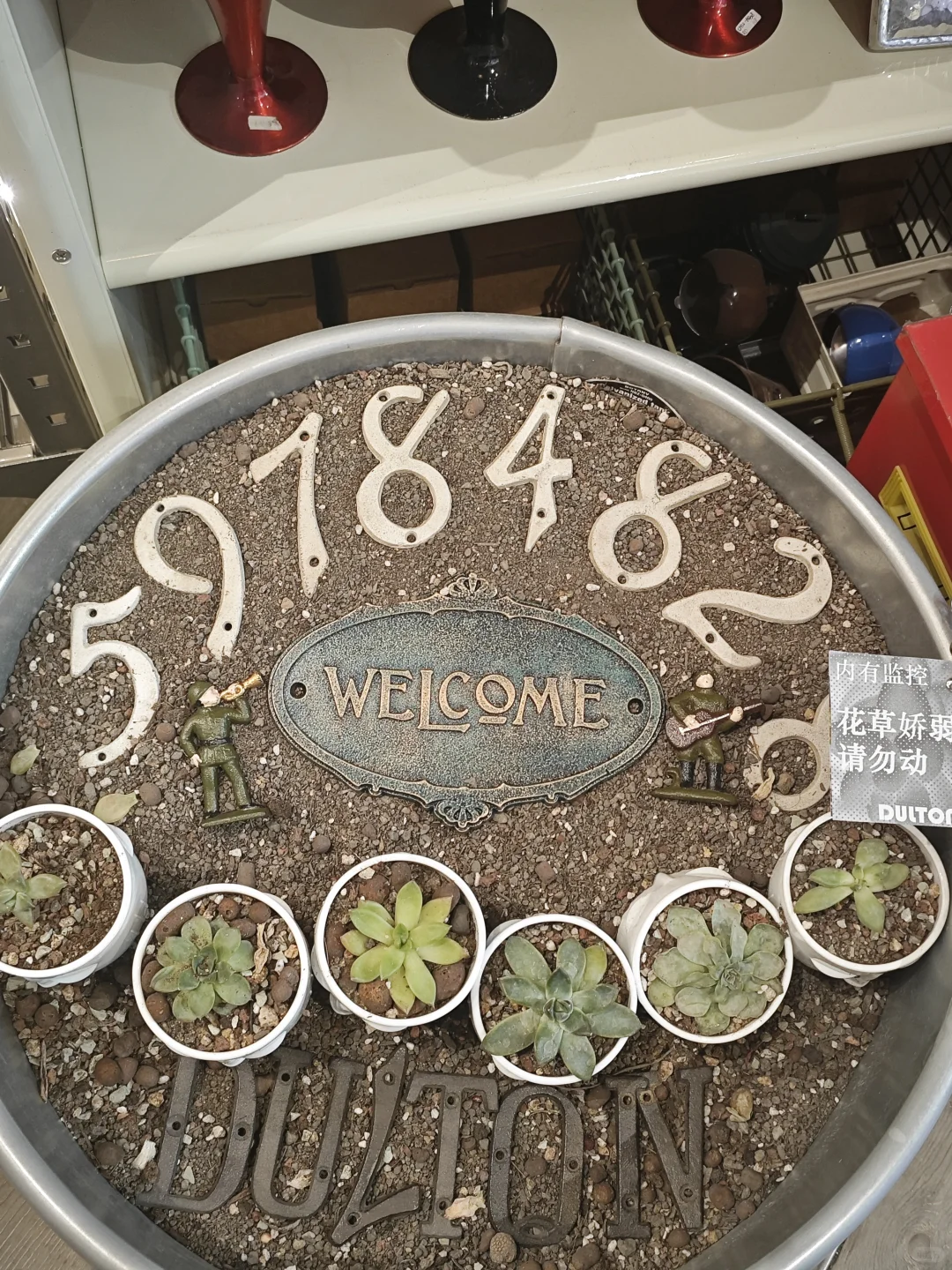 798逛展攻略|免费逛一天超治愈?️~