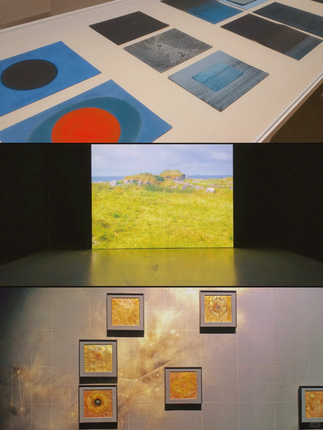 上海新展|年度必看的双年展超全逛展指南