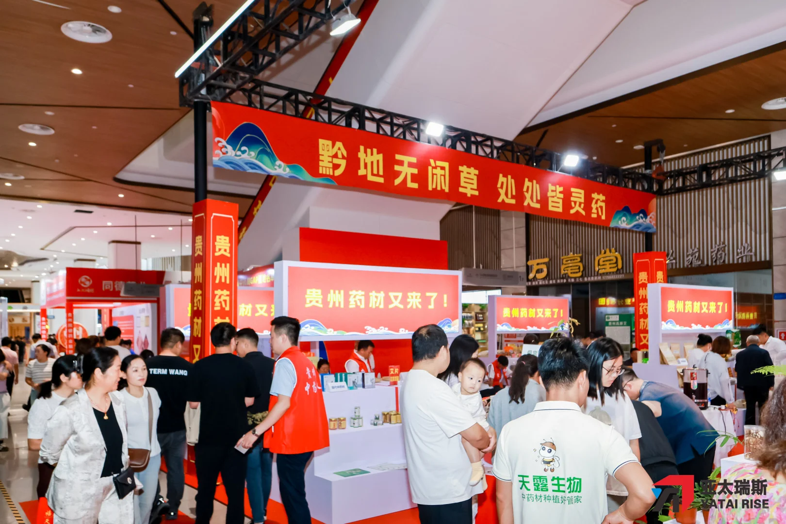 ?2026药博会全攻略 | 来“中华药都”亳州，开