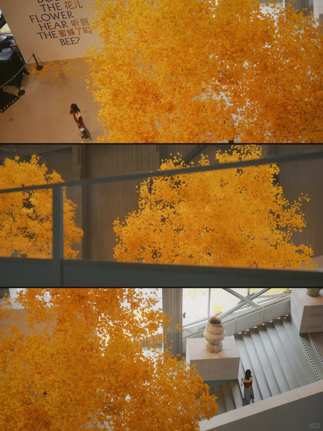 上海新展|年度必看的双年展超全逛展指南