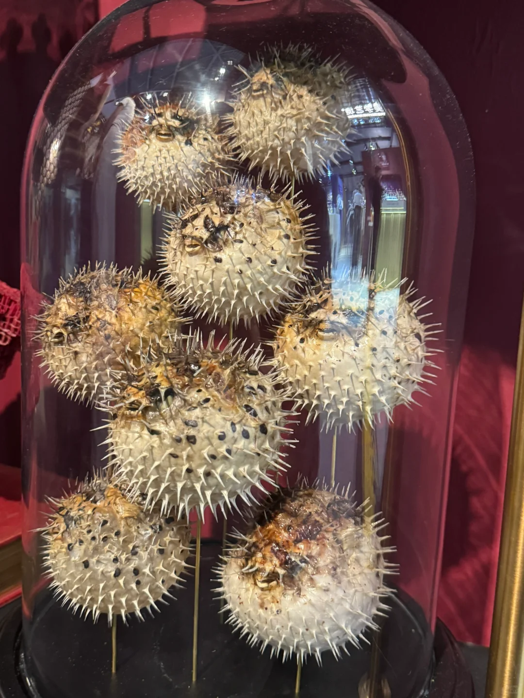 《设计上海》3展区太好玩了吧