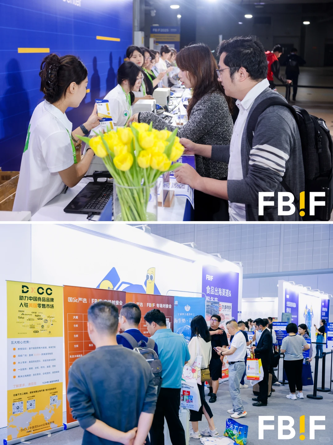 回顾｜DXCC出席FBIF食品创新展