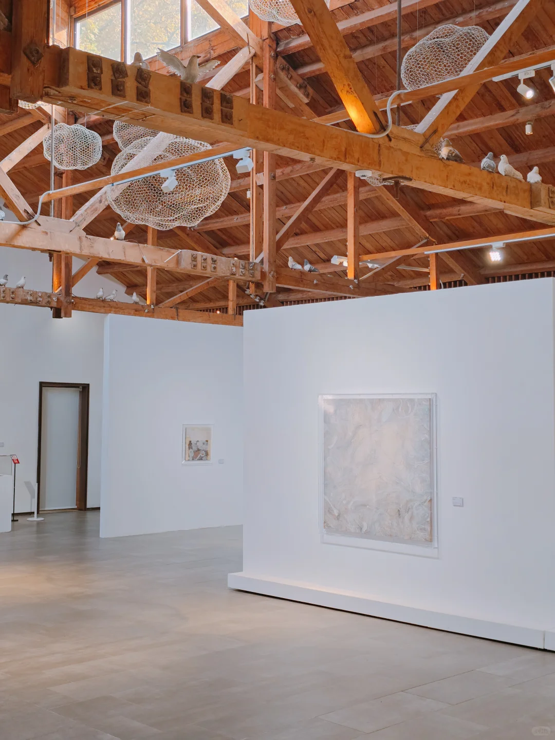 郑州新展！别错过！周末来看展！