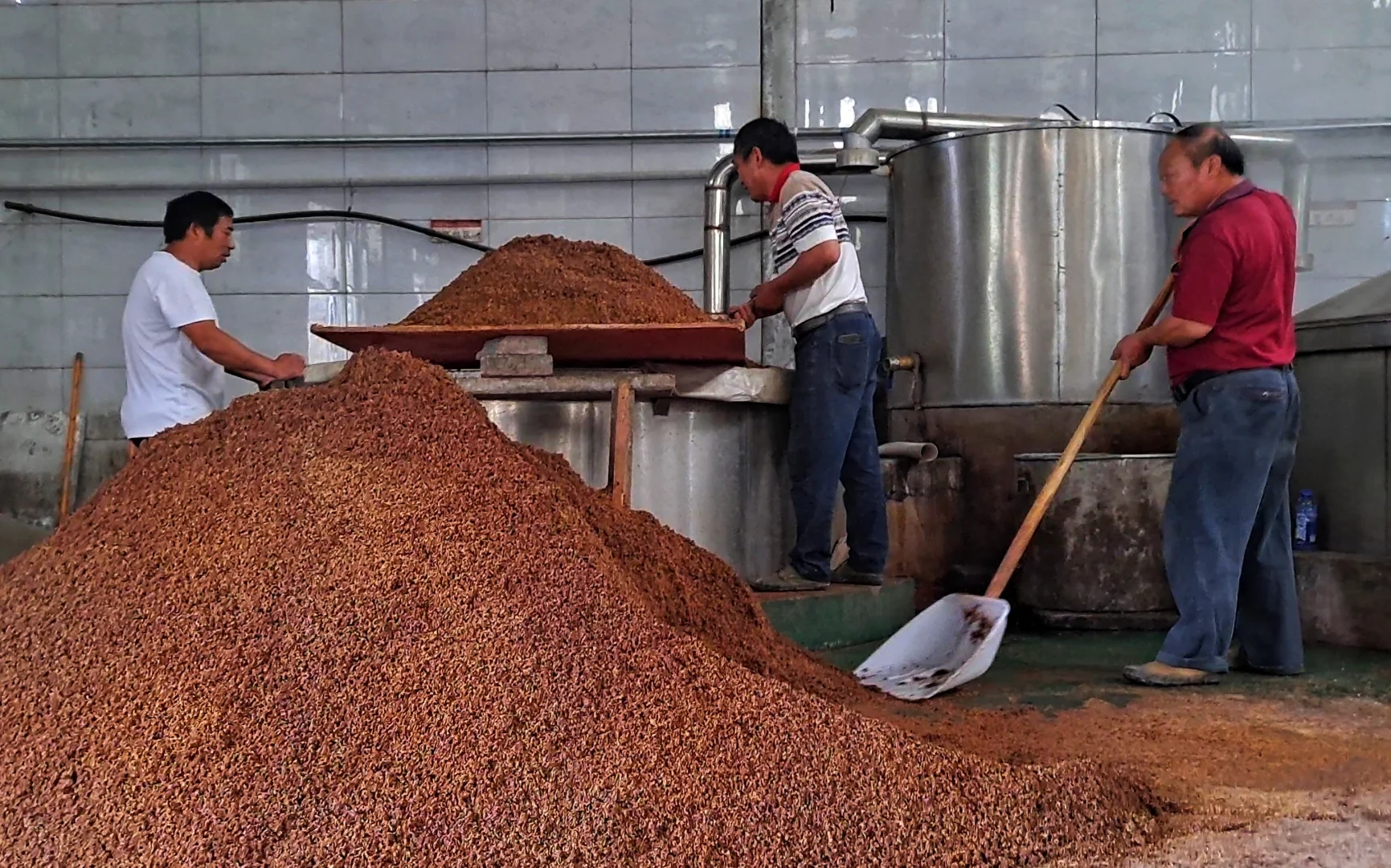 为什么地缸发酵的酒更好