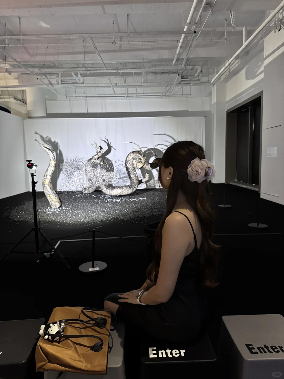 深圳新展｜纸艺创作的梦幻世界?直达（附机位