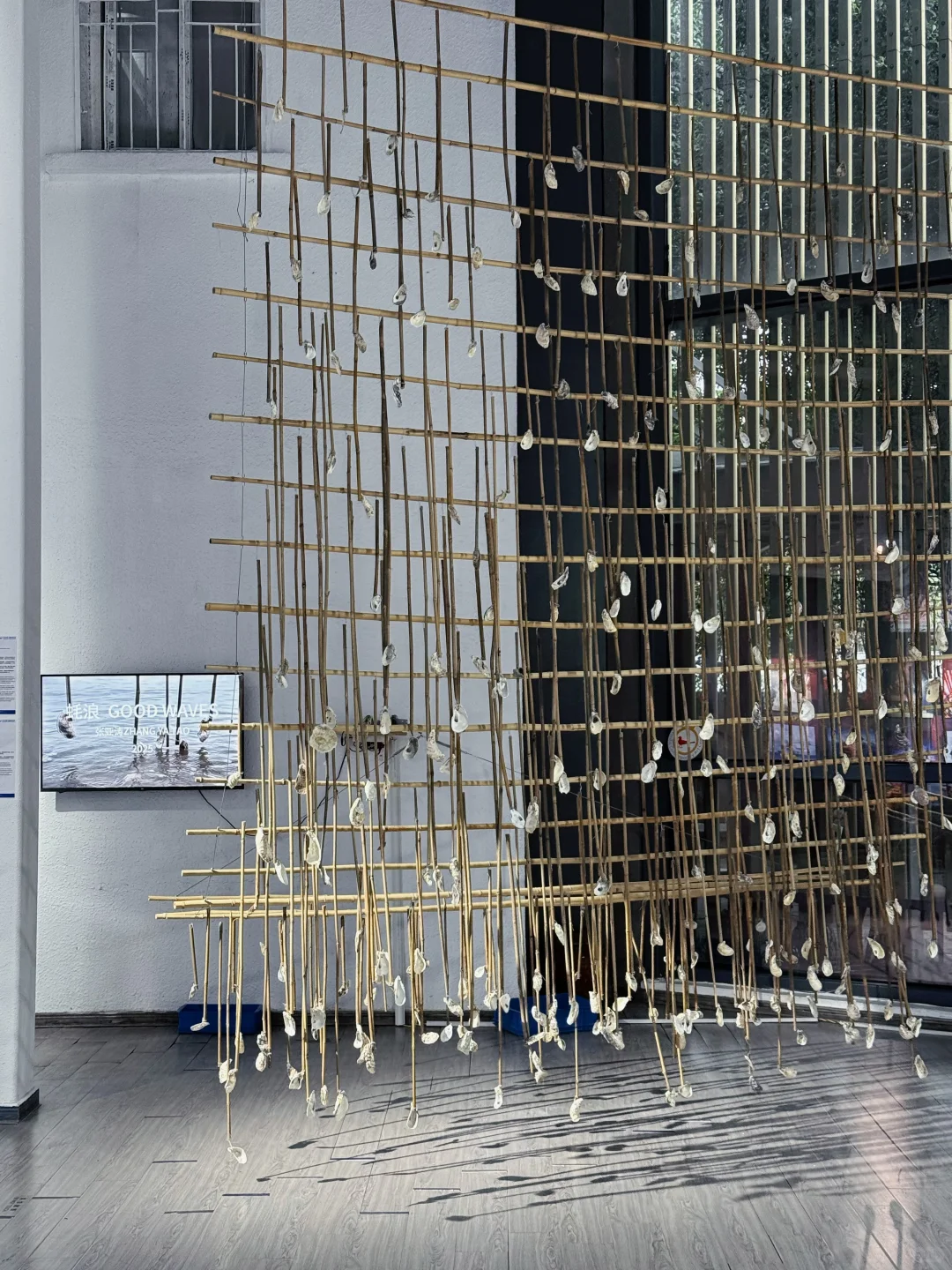 ?厦门国际海洋周｜「蓝色梦想」当代艺术展