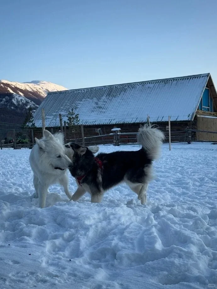 去新疆之前一定要进行大采购！！！！