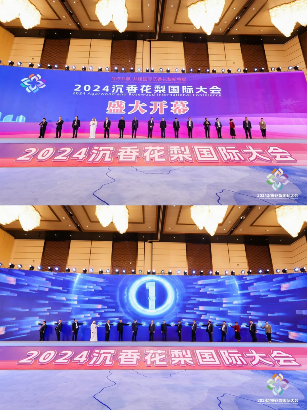 错过这届天香国色展，再等一年！！！