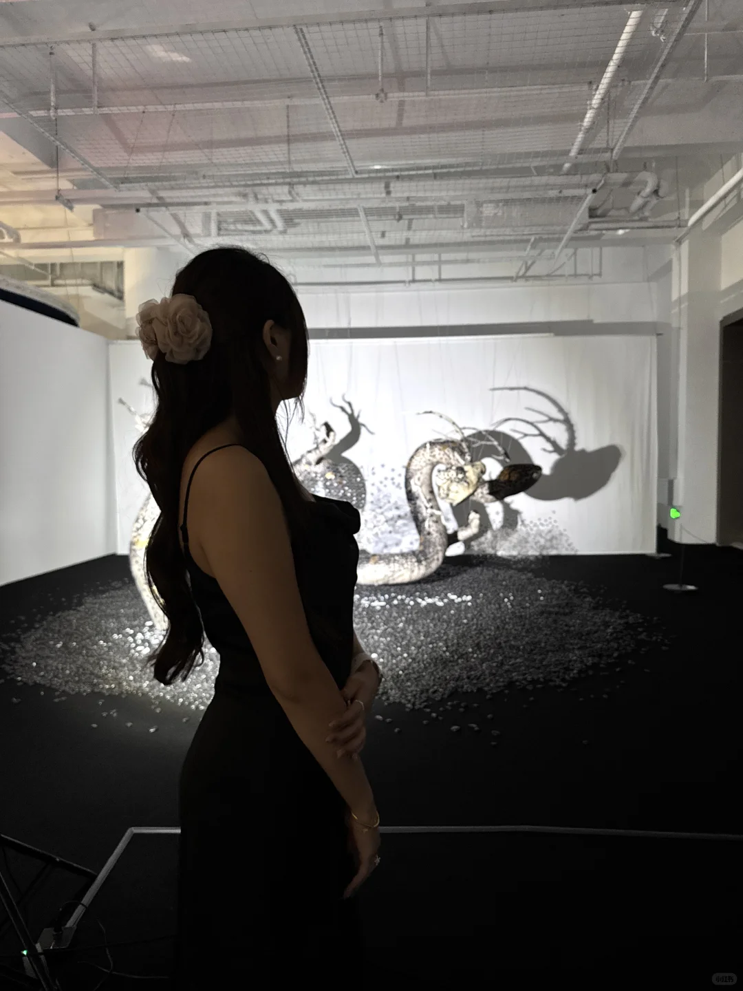 深圳新展｜纸艺创作的梦幻世界?直达（附机位