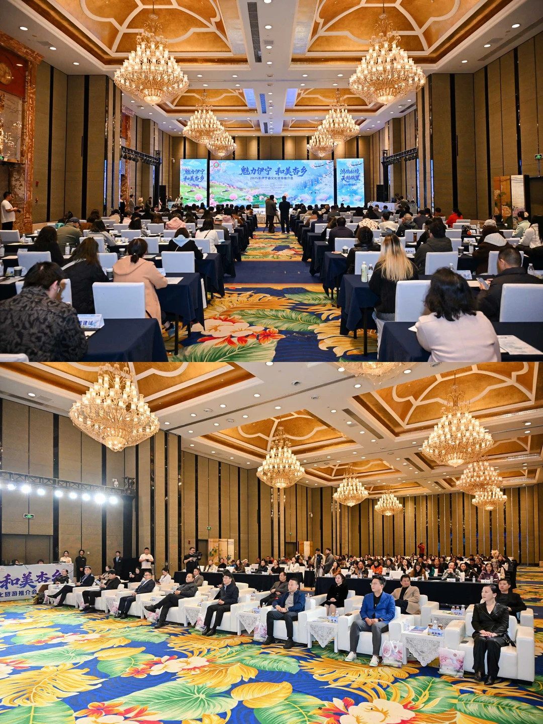 魅力伊宁·推介会