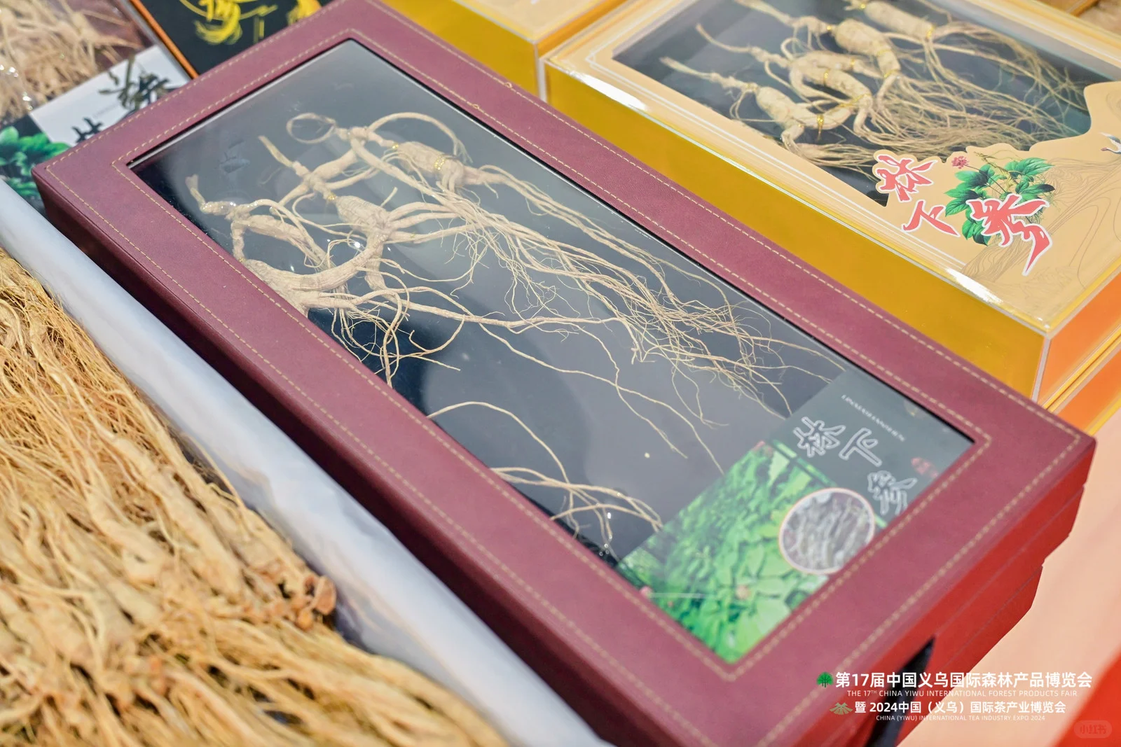 2024义乌国际森博会盛大开幕！