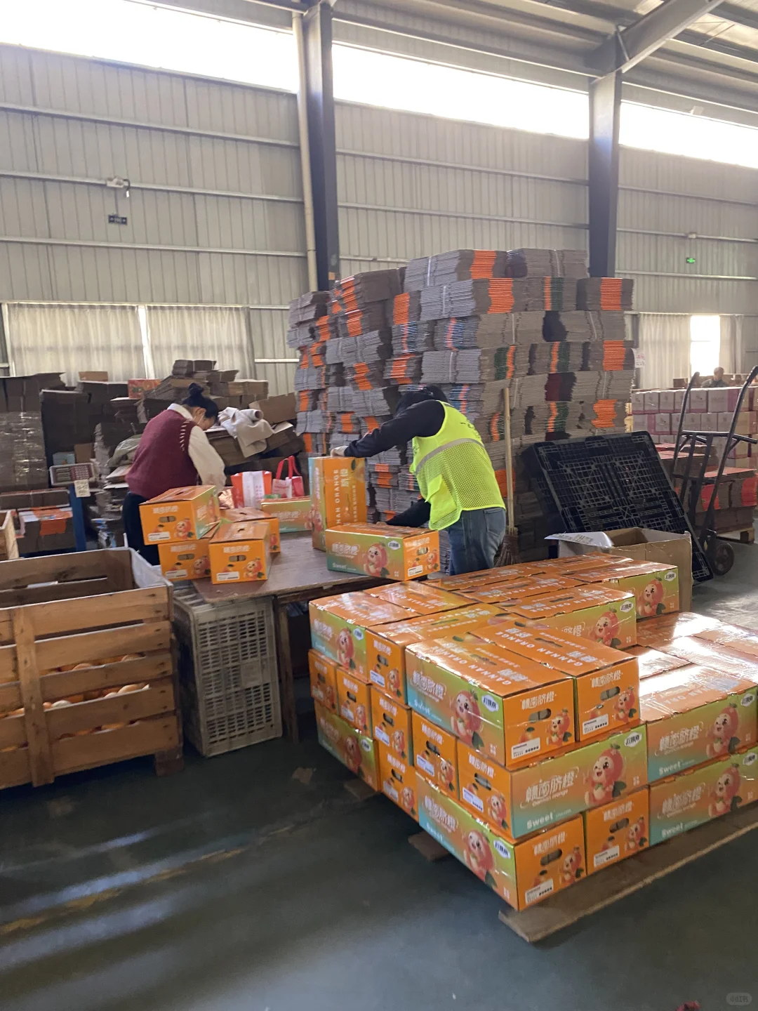 创新驱动｜服务至上