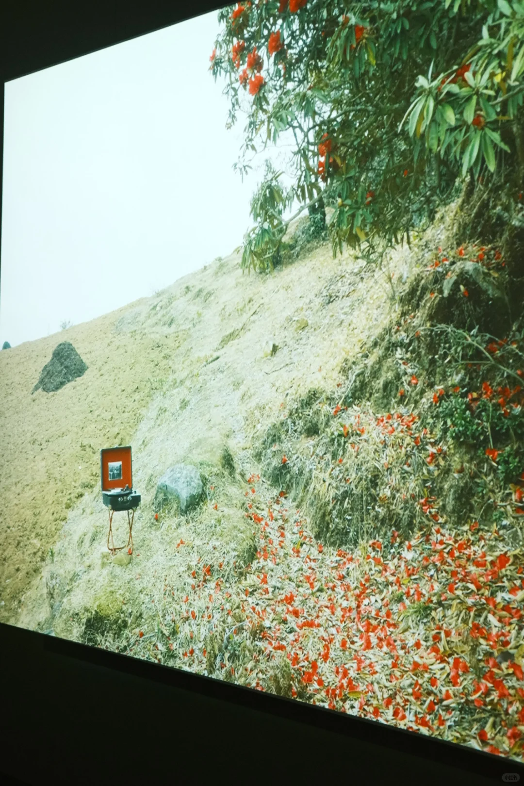 2025上海双年展：其实还是有些好看的