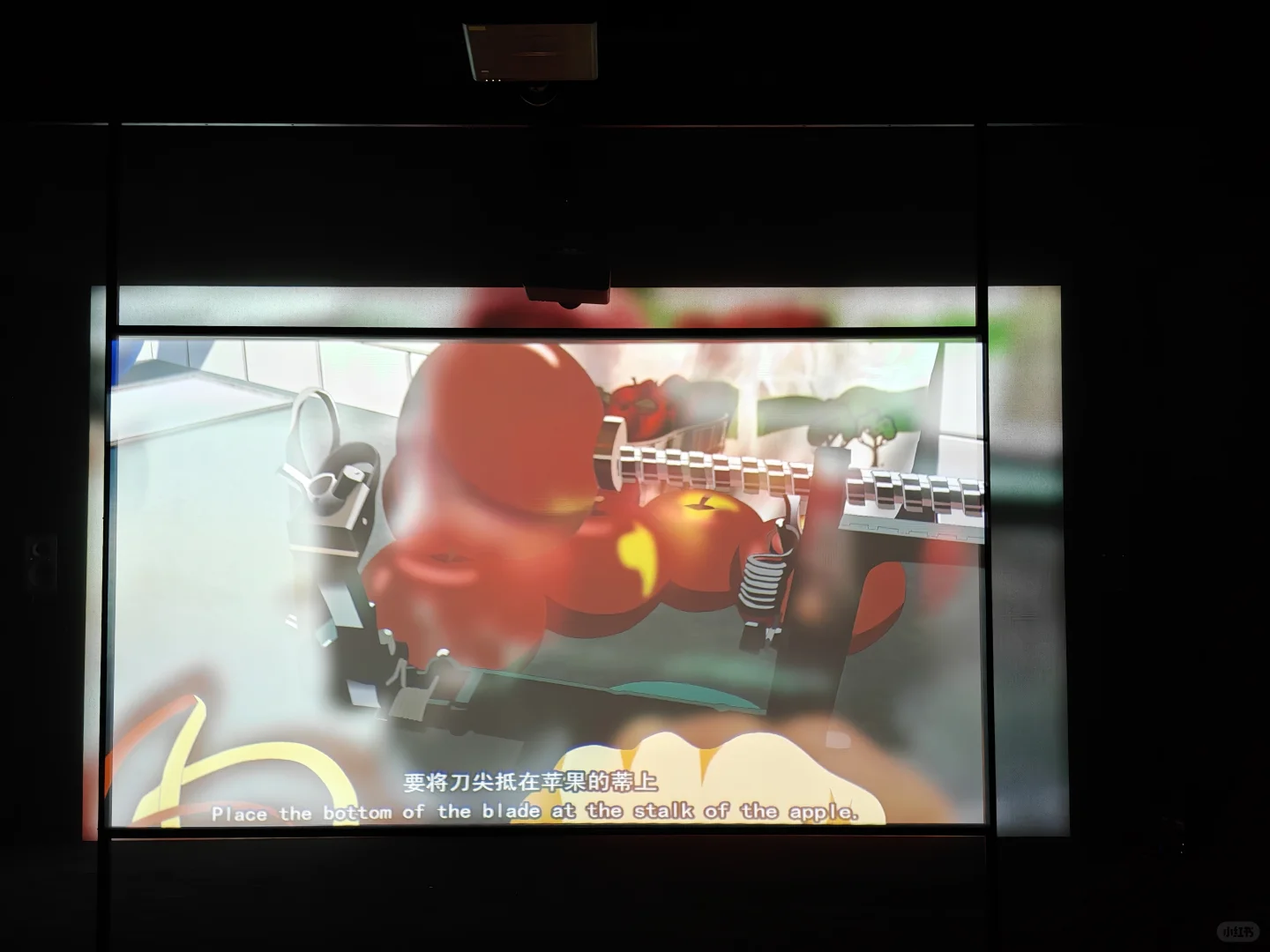 去双年展与同频的人共赴一场花开有声的约会