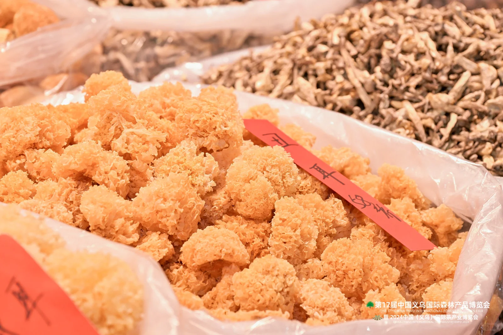 2024义乌国际森博会盛大开幕！