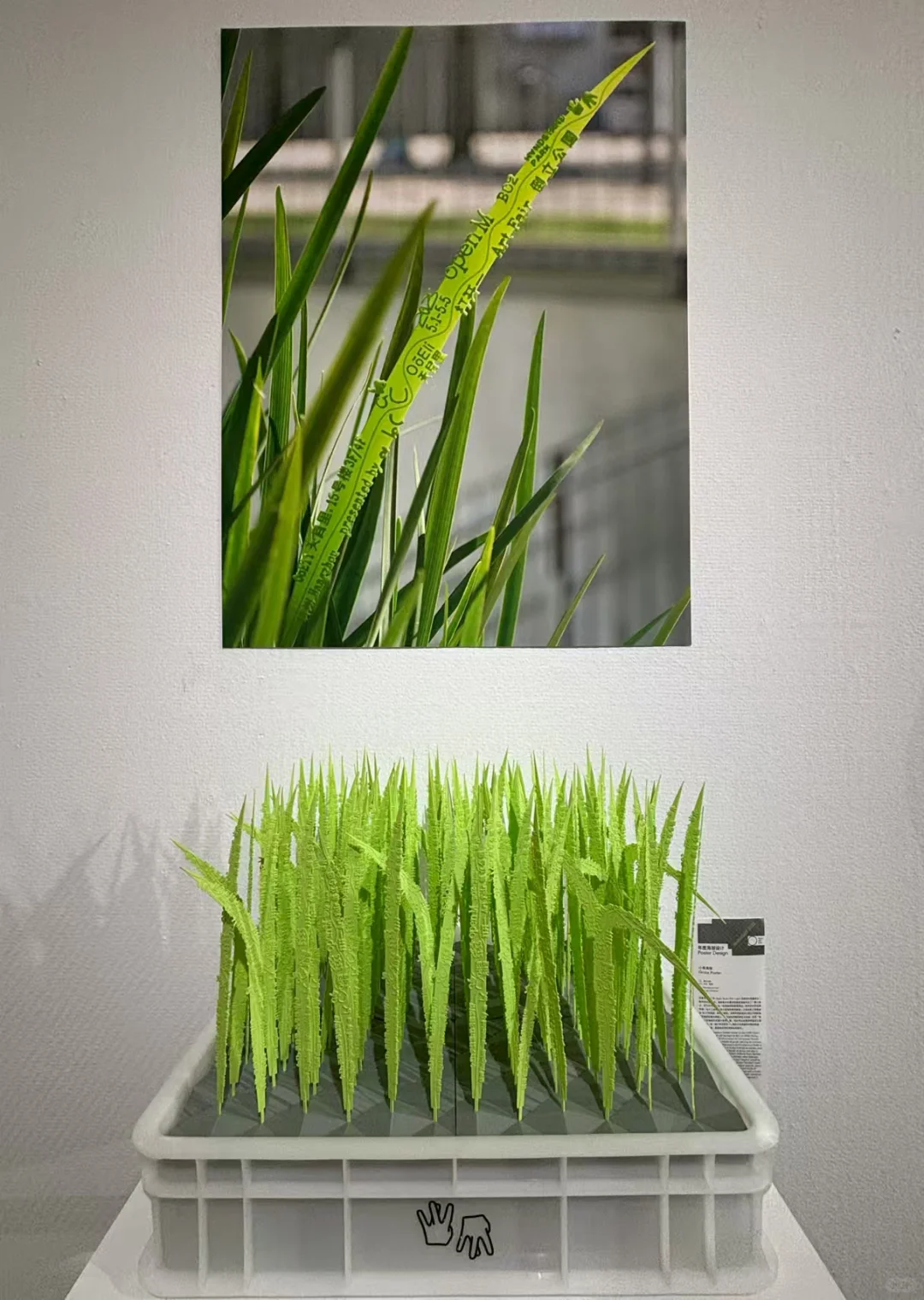 周末打卡杭州100个艺术展-3