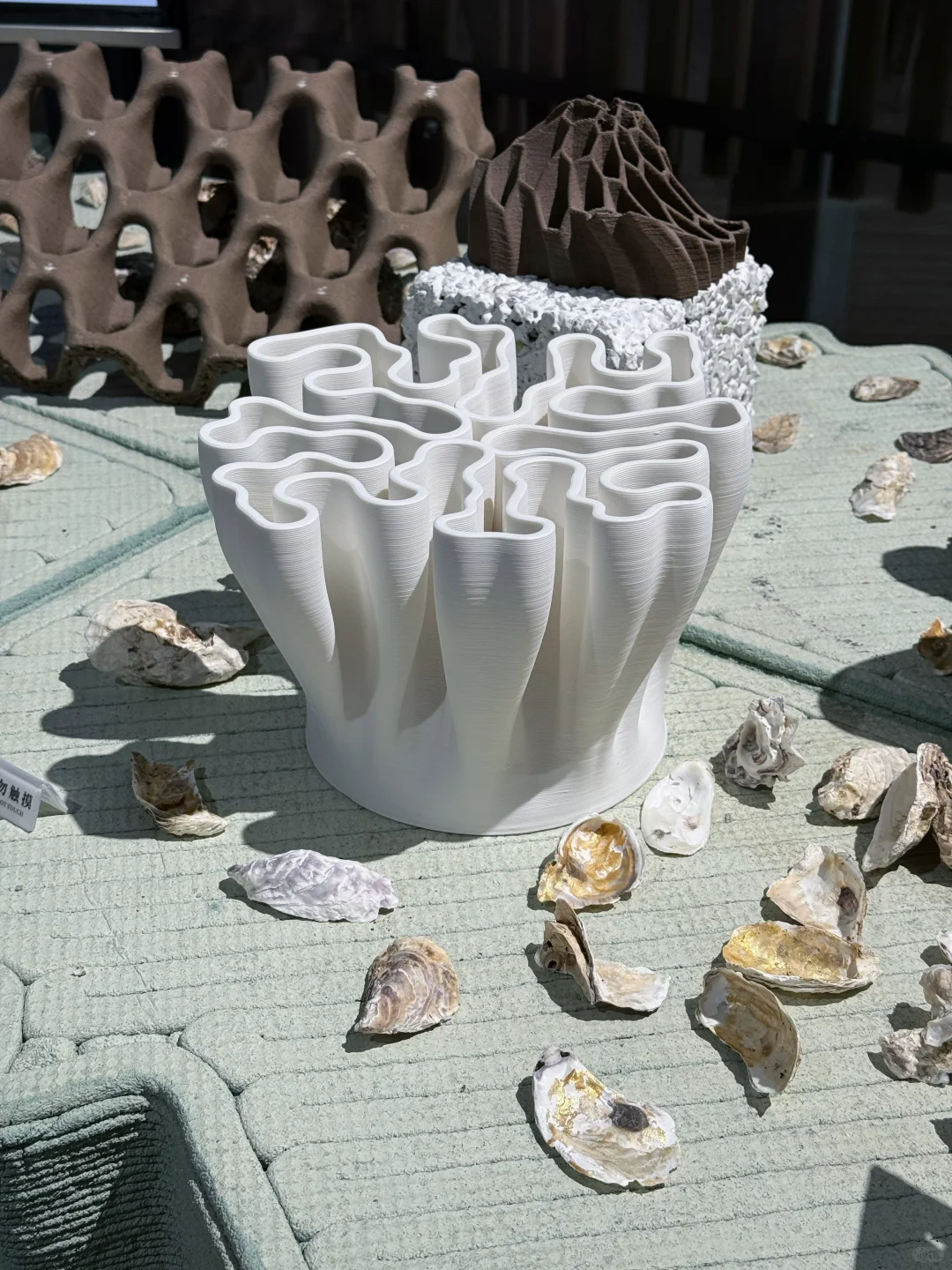 ?厦门国际海洋周｜「蓝色梦想」当代艺术展