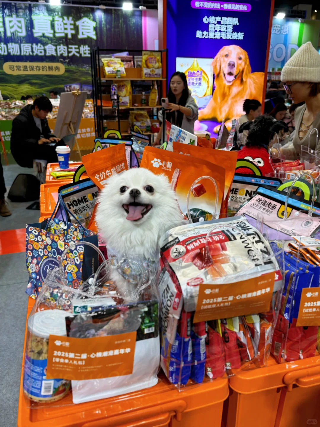 心粮真的这次太懂我们了！