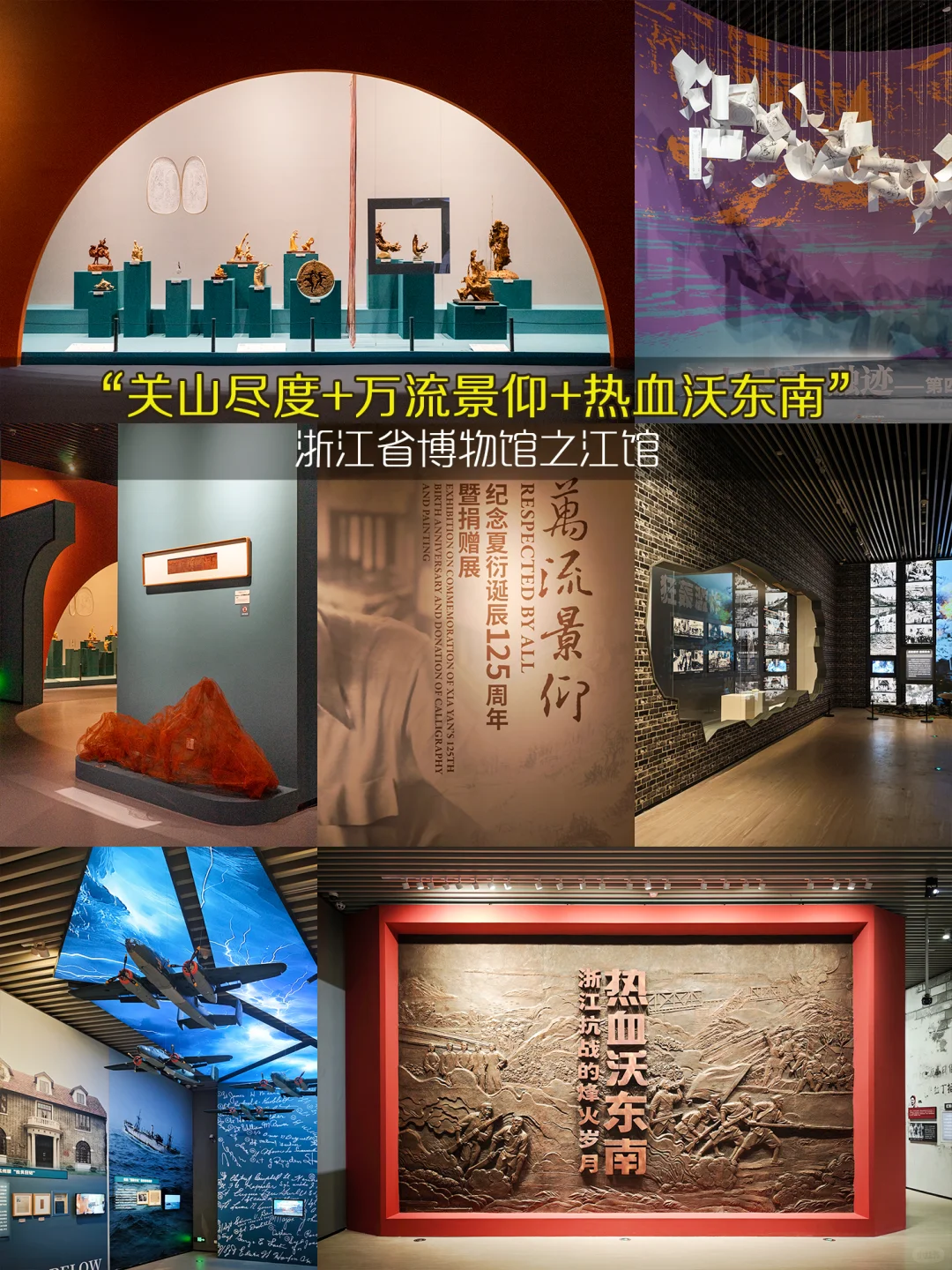 杭州11月免费展杀疯了❤️99个承包整月快乐