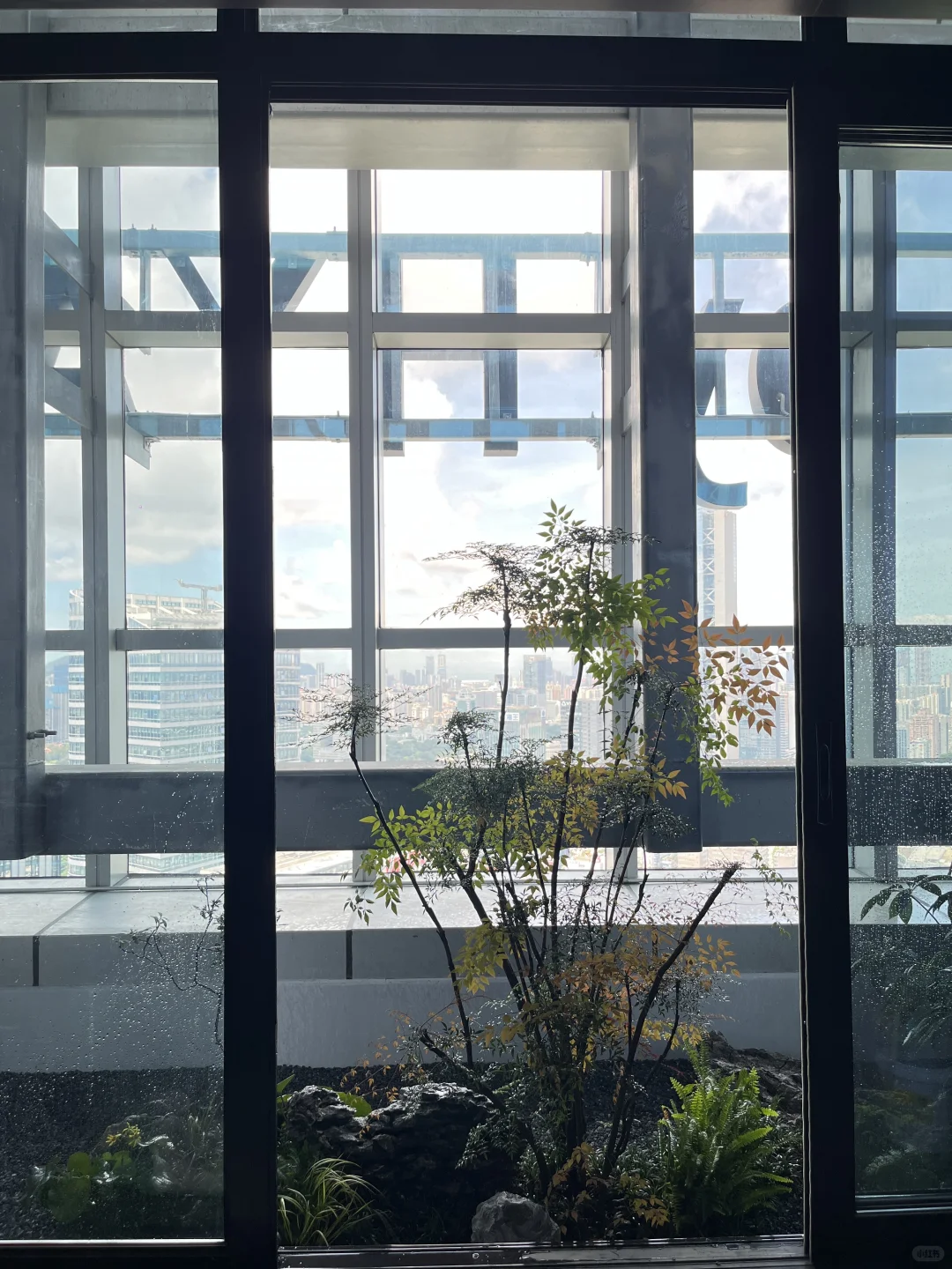 二十天造园｜利用空间造境