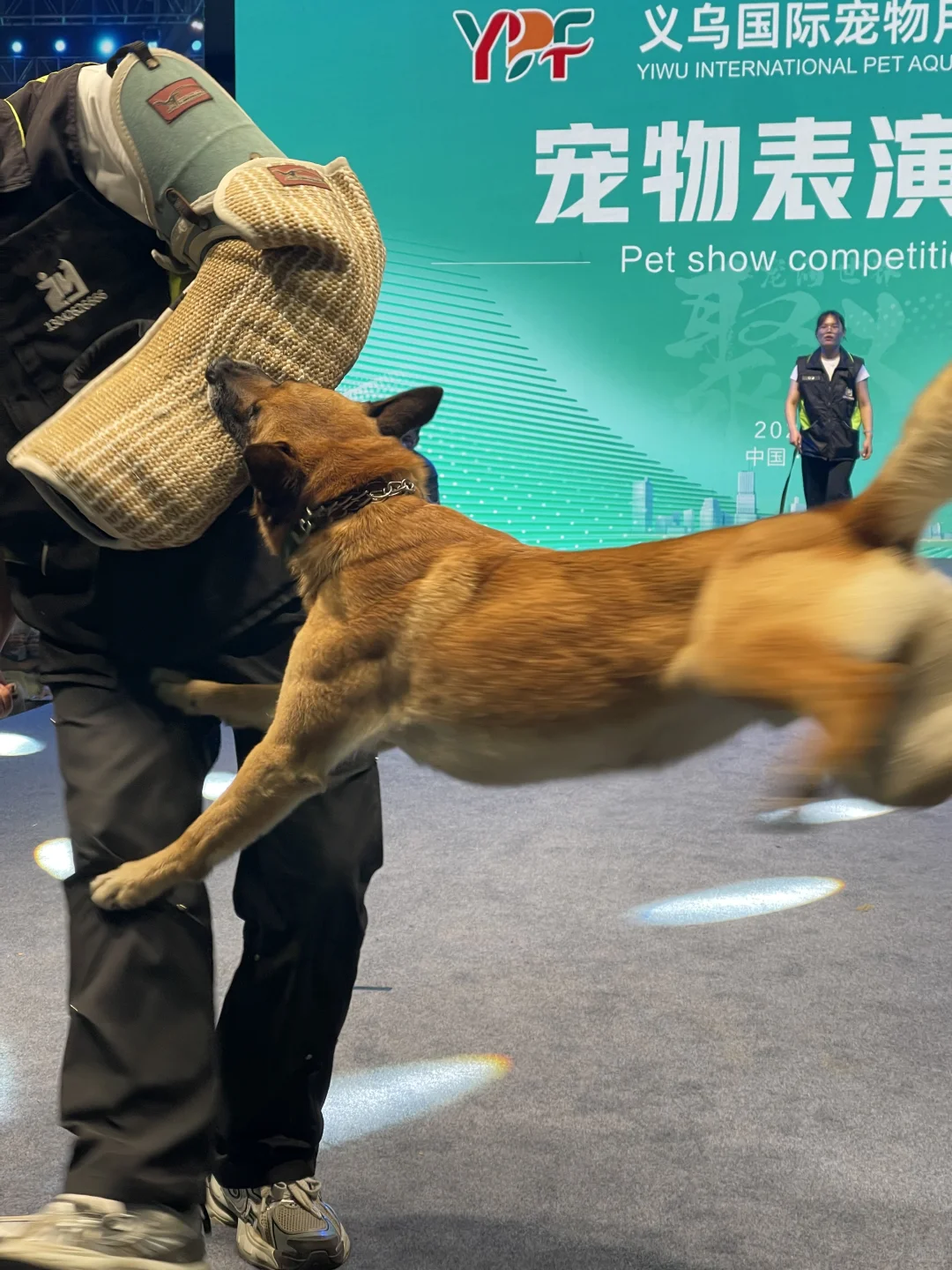 ?义乌国际宠物用品展大揭秘！萌宠盛宴or羊