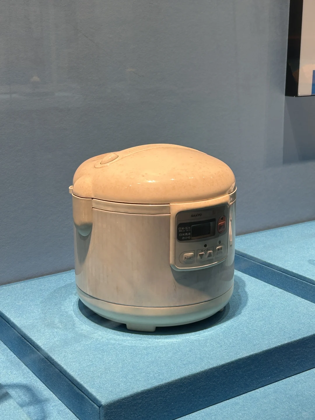 一篇笔记看完广东省博物馆最有意思的展品