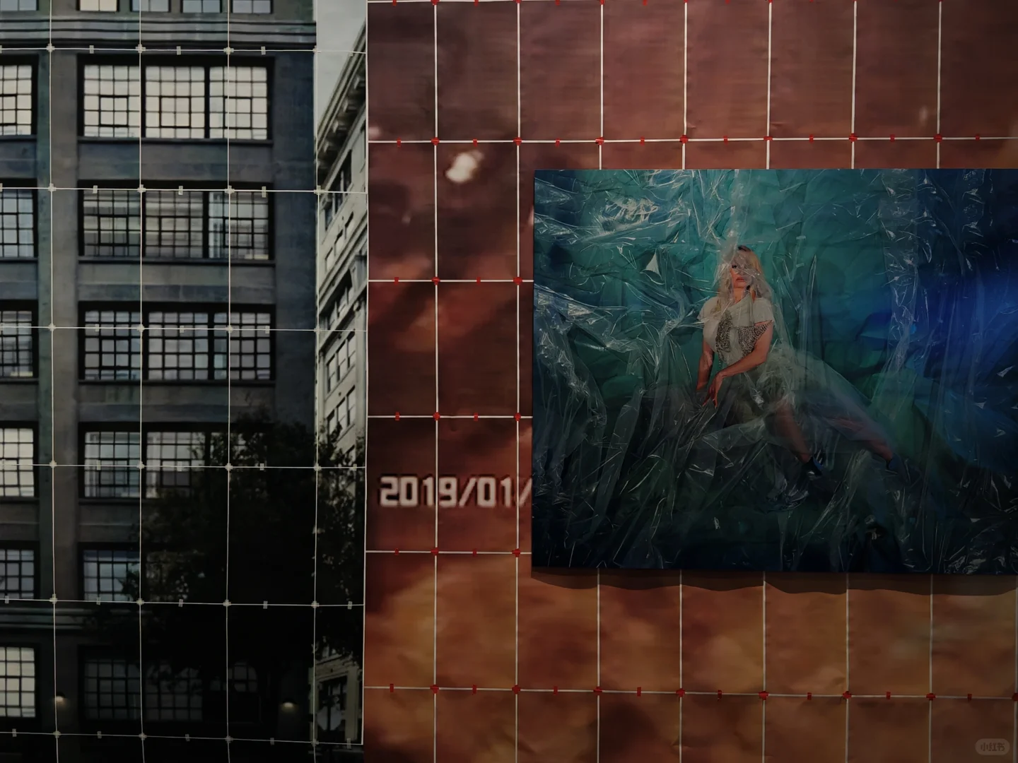 去双年展与同频的人共赴一场花开有声的约会