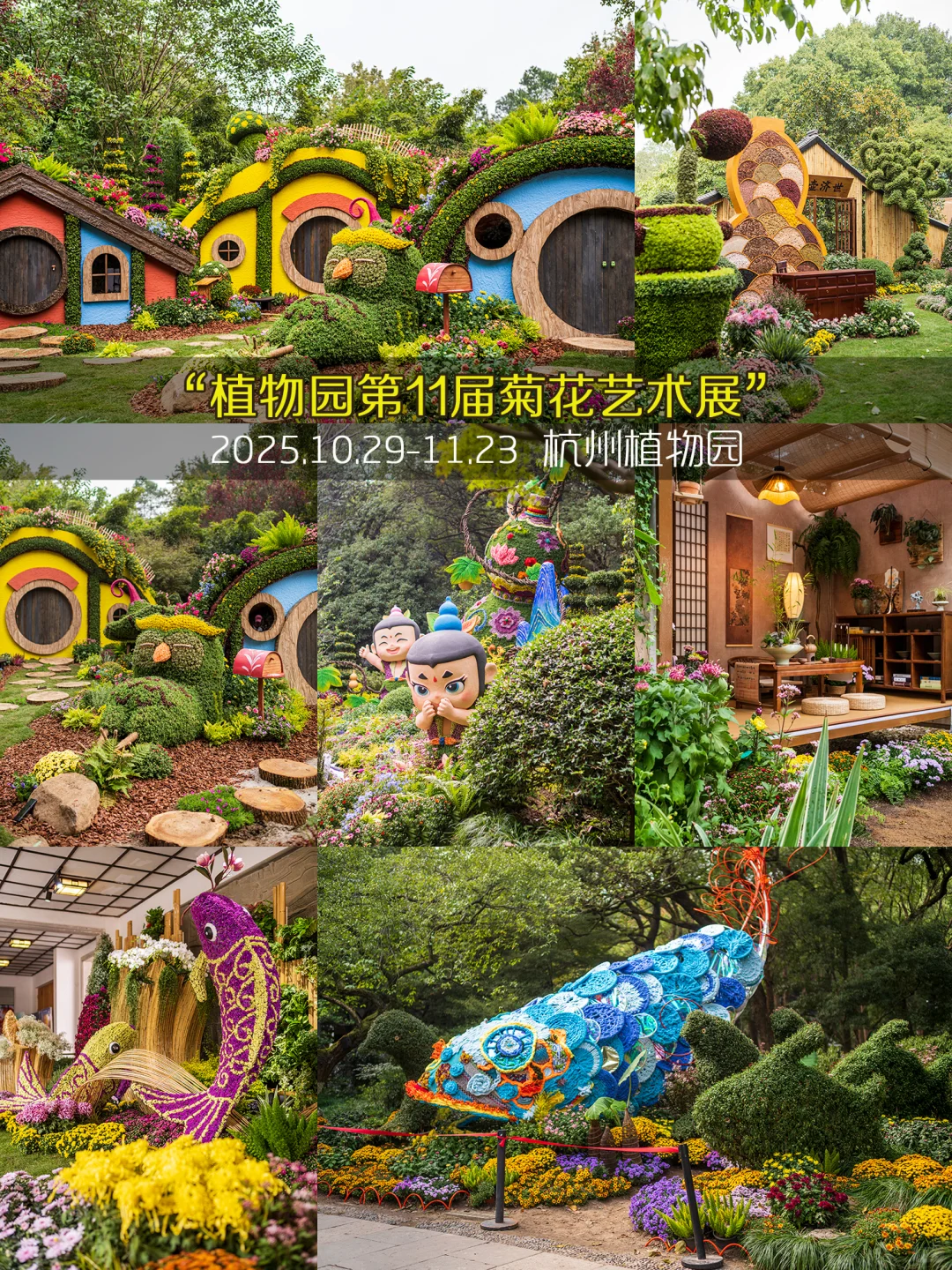 杭州11月免费展杀疯了❤️99个承包整月快乐