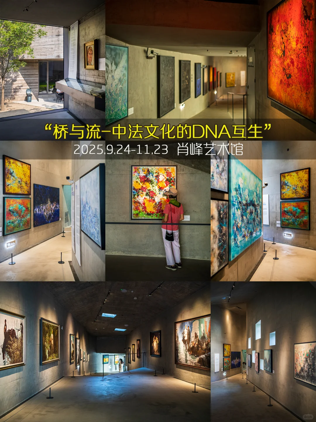 杭州11月免费展杀疯了❤️99个承包整月快乐