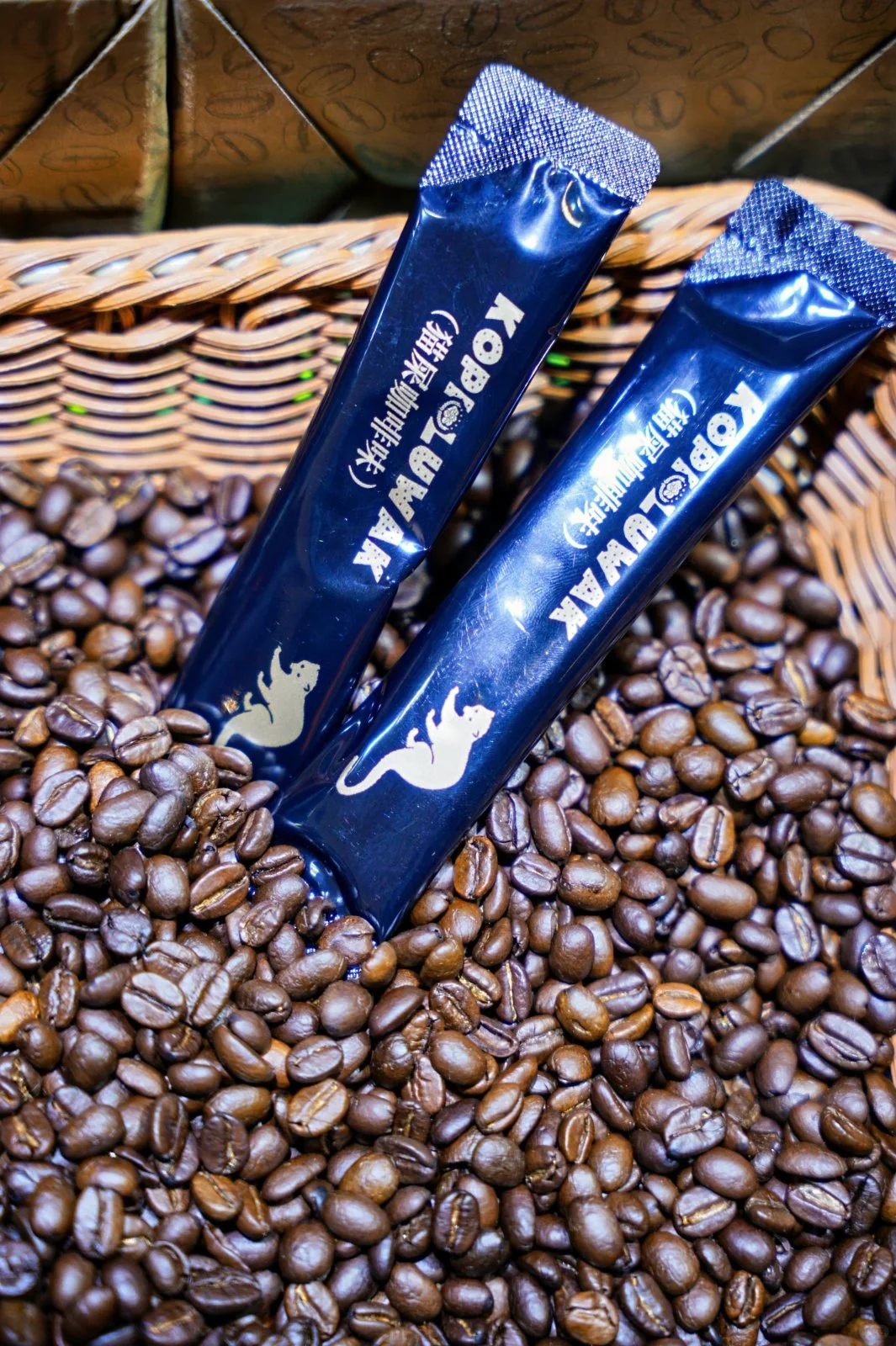 温州会展中心要开温州食博会啦！