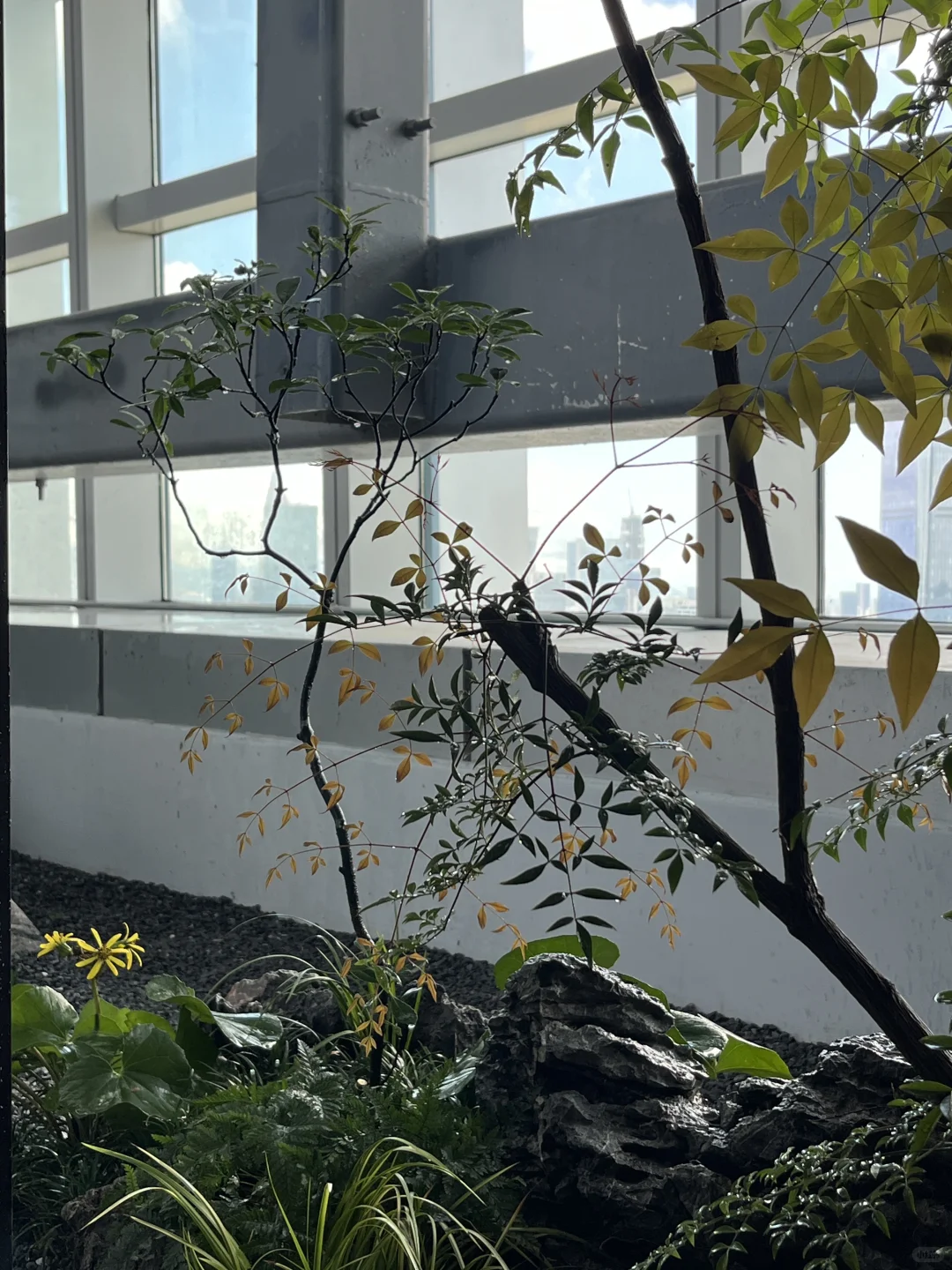 二十天造园｜利用空间造境